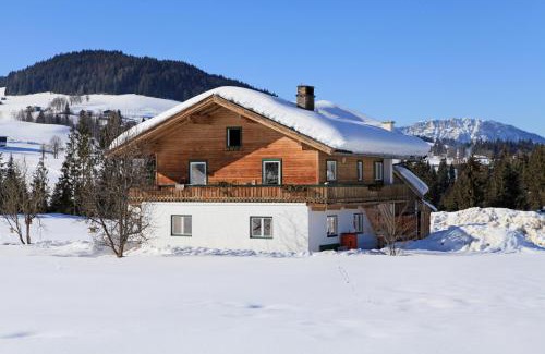 Hopfgarten im Brixental Apartment | Landhaus Hinterebenhub