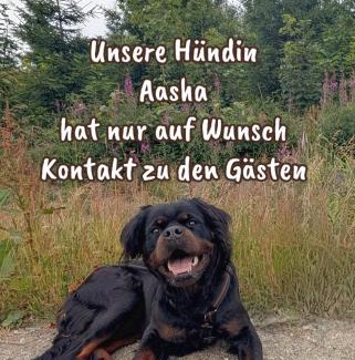 Friesau House | Landhaus "Kühler Morgen", Appartement mit Teeküche & Bad