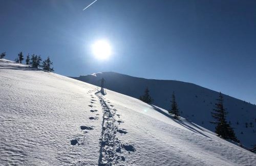 Falkenburg Apartment | Landhaus Stieglschuster, middle of 5-Skiarea & mountain view 360