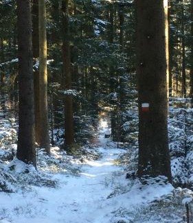 Waldmuenchen Hotel | Landhotel Großeiberhof