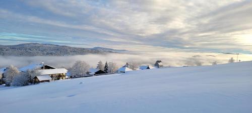 Mitterfirmiansreut Hotel | Landhotel Sportalm
