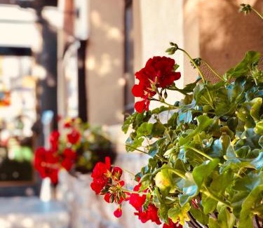 Steinbach Hotel | Landhotel Traube