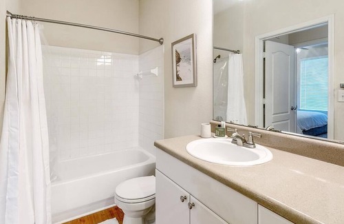 Mount Pleasant Apartment | Landing at Belle Hall Apartments - 1 Bedroom in Downtown Mount Pleasant