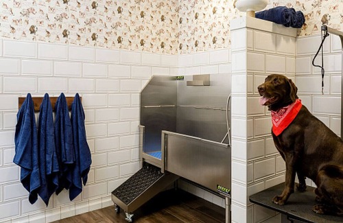 Uptown Apartment | Landing at Raleigh Slabtown - 1 Bedroom in Northwest Portland