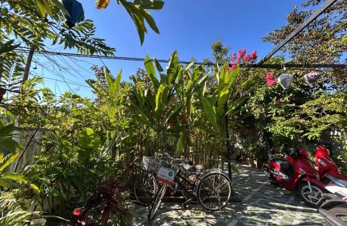 Cam Thanh House | Laoxao Homestay