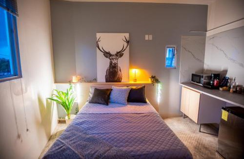 Guadalajara House | Lapizlázuli Studio 4