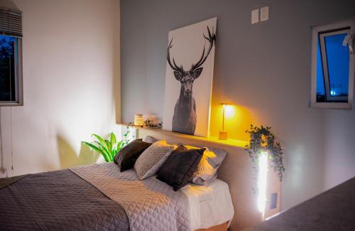 Guadalajara House | Lapizlázuli Studio 4