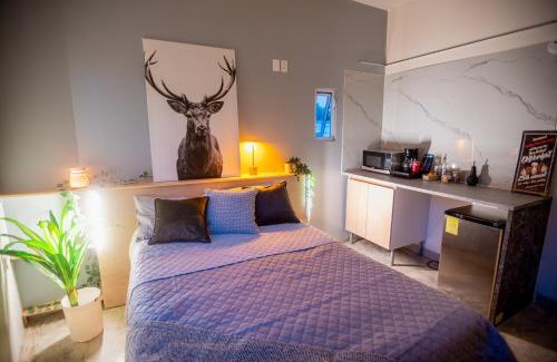 Guadalajara House | Lapizlázuli Studio 4