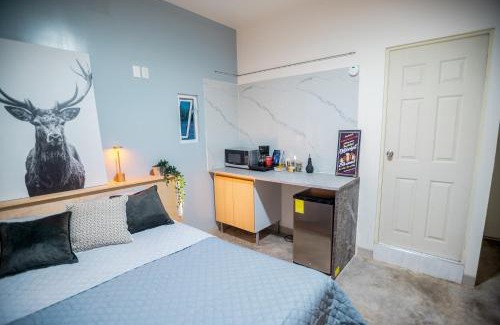 Guadalajara House | Lapizlázuli Studio 4