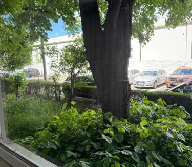 Pitesti Apartment | Lara Studio Exercitiu