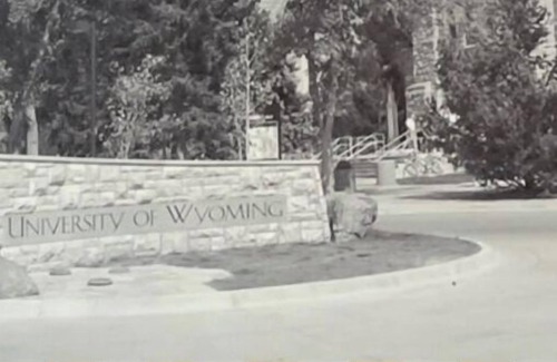 Laramie House | Laradise ParadisenFeaturing local Artists' paintings. n