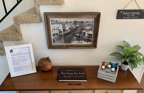 Pagosa Springs Condo | Large 3 Bed/3 Bath Condo in Uptown! Fireplace and AC
