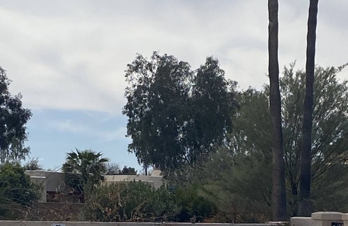 Rillito House | Large 3 Bedroom Home-Mountain Views-Catalina Foothills
