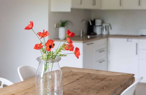 Nes House | Large apartment on Ameland with terrace