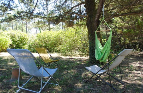 Saint-Hilaire-de-Riez House | Large house surrounded by pine trees