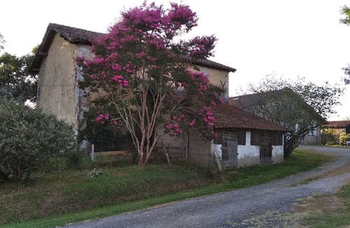 Saugnac-et-Cambran Other | Large Landes house with swimming pool, very quiet, south of DAX