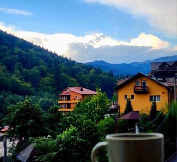 Sinaia Apartment | Large Studio - 4 Guests - Balcony - Free Parking