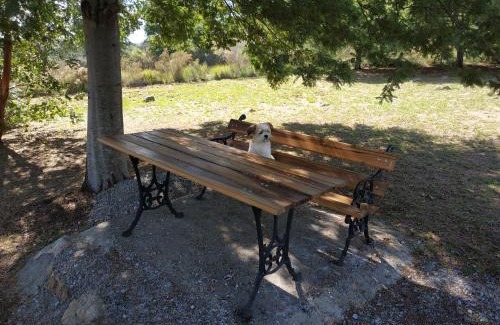 Tandil House | Las Golondrinas