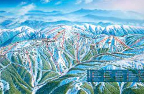 Hotham Heights Apartment | Lawlers 41 - Hotham Heights - ski In/ski out