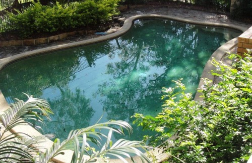 Hawks Nest Apartment | Laze Away Your Day - WiFi