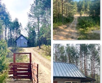 Giby House | Leśny Domek Zelwa