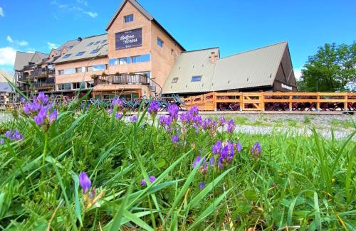 Reallon Hotel | Le Balcon des Ecrins