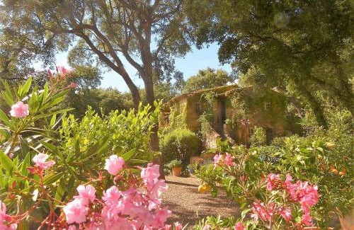 Sainte-Maxime Bed & Breakfast | Le Bastidon Saint-Michel