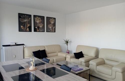 Saint-Etienne Apartment | Le Belle vue