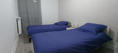 Saint-Etienne Apartment | Le Belle vue