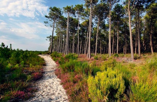 Mimizan-Plage Apartment | Le Belvédère