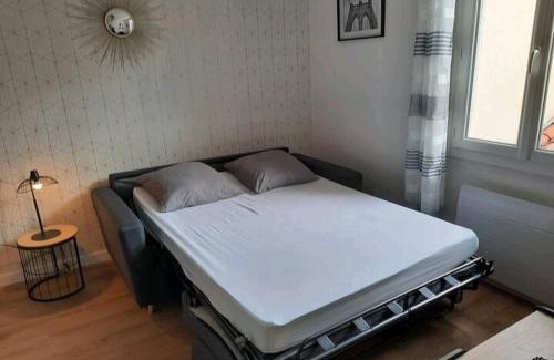 Le Busca Apartment | Le Black and White cosy studio Toulouse centre