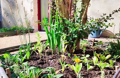 Plaisance Cottage | "Le Buffet de la Gare" 4p Dordogne Périgord, Eymet,Issigeac,Bergerac,Castillonnes