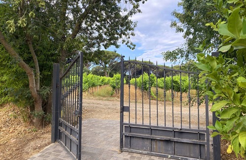 Gassin Villa | Le Cadran Solaire, a charming villa with swimming pool 5' from Saint Tropez