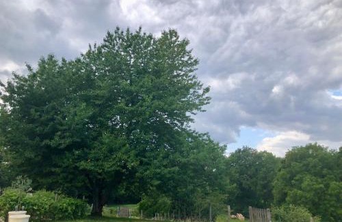 Saint-Barbant Bed & Breakfast | Le Cerisier Saint-Barbant