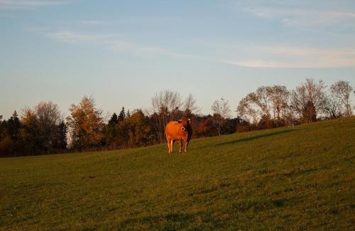 Les Bois Bed & Breakfast | Le Cerneux-au-Maire