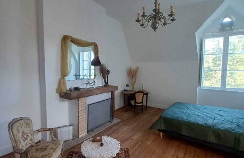 Saint-Sorlin-de-Conac Other | Le Château du Roc