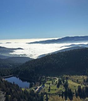 Soultz-Haut-Rhin Apartment | Le charme atypique