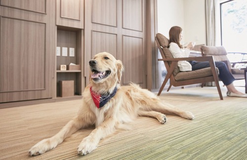 Kyukaruizawa Hotel | Le Chien Kyuu Karuizawa