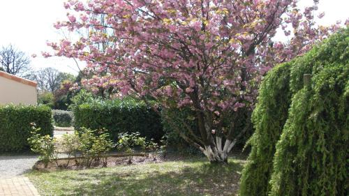 Mouilleron-le-Captif House | Le Clos Sainte Lea