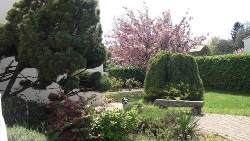 Mouilleron-le-Captif House | Le Clos Sainte Lea