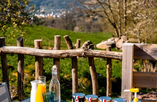 Saulxures-sur-Moselotte Cottage | Le Cocon de Manon - Cozy cottage for 2 to 4 people
