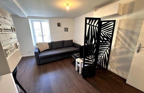 Clermont-Ferrand Apartment | Le Contrasté