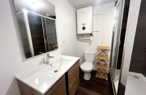 Clermont-Ferrand Apartment | Le Contrasté