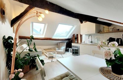 Notre-Dame Apartment | Le Cosy Macaron - Au cœur de Versailles