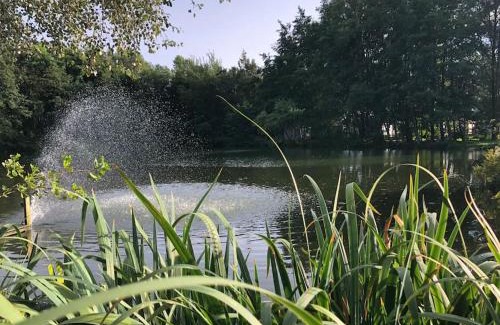 Bourbourg House | Le Cottage de l etang