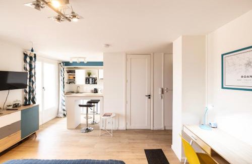 Roanne Apartment | Le cottage roannais