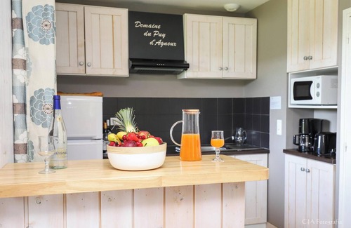 Meyrignac-l'Eglise Ski Chalet | Le Dom des Monédières Ch 3M6V