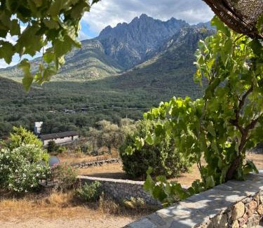 Moltifao House | LE ELLA ENTRE MER ET MONTAGNE