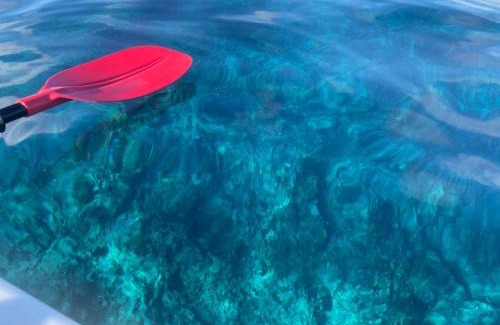 Teahupoo House | Le Fare Bambou de Raiatea l'île sacrée
