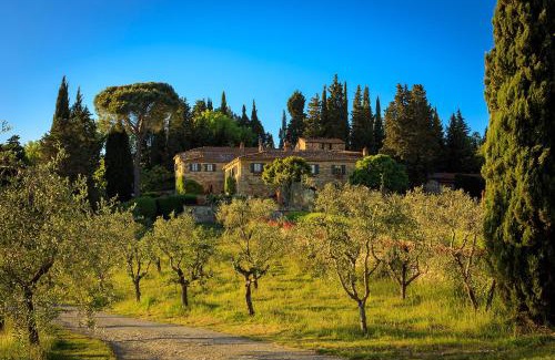 Barberino Tavarnelle House | Le Filigare Winery & Accomodation in Chianti